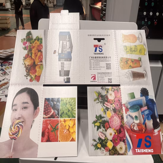 CE로 플렉소 인쇄 회전 다이 커팅 머신을 만드는 완전 자동 맞춤형 상자